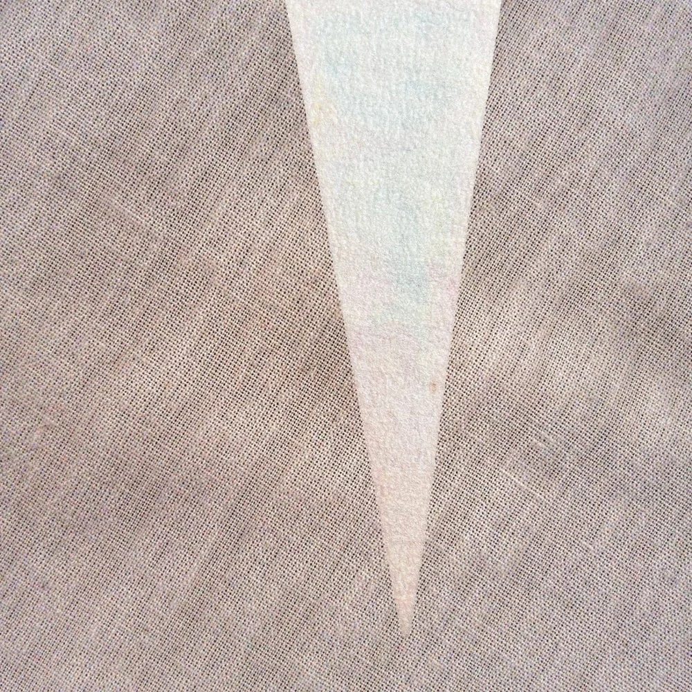 Vintage 1974 Large Felt Imprint Art Florida Souvenir Pennant